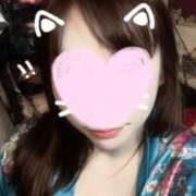 ヒメ日記 2025/01/23 10:08 投稿 まな 花影（かえい）