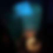 ヒメ日記 2025/06/25 09:07 投稿 まな 花影（かえい）