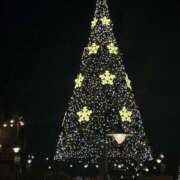 ヒメ日記 2025/11/23 08:52 投稿 まな 花影（かえい）