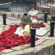 ヒメ日記 2025/12/22 09:00 投稿 まな 花影（かえい）