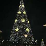 ヒメ日記 2025/12/24 09:30 投稿 まな 花影（かえい）