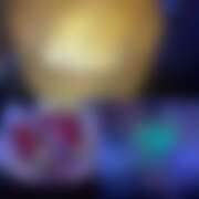 ヒメ日記 2026/02/16 09:00 投稿 まな 花影（かえい）