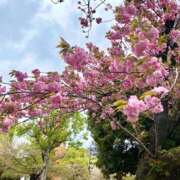 らい ʚ🌸ɞ 花影（かえい）