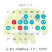 ヒメ日記 2025/04/14 23:36 投稿 鈴木　りの 川崎南町人妻高級ソープ エル・カーヒル(ELCURHIL)秘密の刻