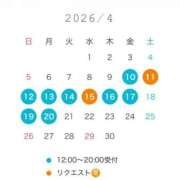 ヒメ日記 2026/04/09 13:53 投稿 鈴木　りの 川崎南町人妻高級ソープ エル・カーヒル(ELCURHIL)秘密の刻