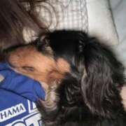 みらん 今週もよろしくお願いします 花影（かえい）