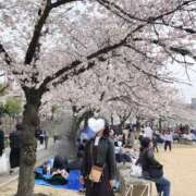 ヒメ日記 2025/04/13 13:34 投稿 高柳美子-MIKO- Casual Rich 5（カジュアルリッチファイブ）