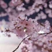 高柳美子-MIKO- 散ってまた咲く Casual Rich 5（カジュアルリッチファイブ）