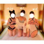 ヒメ日記 2026/05/08 15:30 投稿 高柳美子-MIKO- Casual Rich 5（カジュアルリッチファイブ）