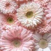 ヒメ日記 2025/01/17 11:36 投稿 りょう 大奥 梅田店