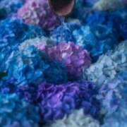 ヒメ日記 2025/06/05 09:47 投稿 りょう 大奥 梅田店