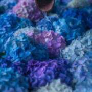 ヒメ日記 2025/06/05 10:02 投稿 りょう 大奥 梅田店