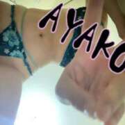 ヒメ日記 2025/04/17 22:17 投稿 アヤコ(大奥) 奥様幕府