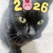 ヒメ日記 2026/01/15 00:01 投稿 アヤコ(大奥) 奥様幕府