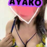 ヒメ日記 2026/07/14 04:30 投稿 アヤコ(大奥) 奥様幕府