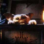 ヒメ日記 2024/12/10 06:47 投稿 アキラ(奥方) 奥様幕府