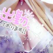 ヒメ日記 2024/12/12 18:37 投稿 アキラ(奥方) 奥様幕府