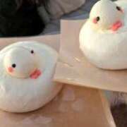 ヒメ日記 2025/01/06 02:27 投稿 アキラ(奥方) 奥様幕府