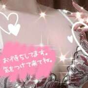 ヒメ日記 2025/05/16 01:47 投稿 アキラ(奥方) 奥様幕府