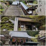 ヒメ日記 2025/05/16 04:47 投稿 アキラ(奥方) 奥様幕府