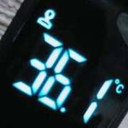 ヒメ日記 2025/05/17 14:47 投稿 アキラ(奥方) 奥様幕府