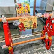 ヒメ日記 2025/08/24 06:02 投稿 アキラ(奥方) 奥様幕府