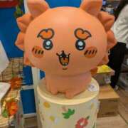 ヒメ日記 2025/10/05 05:27 投稿 アキラ(奥方) 奥様幕府