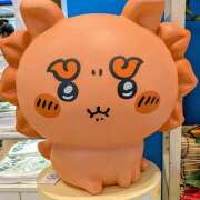 ヒメ日記 2025/10/11 05:17 投稿 アキラ(奥方) 奥様幕府