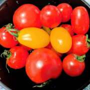 ヒメ日記 2025/12/07 04:47 投稿 アキラ(奥方) 奥様幕府