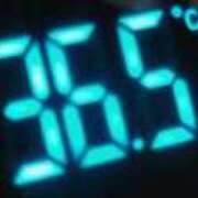 ヒメ日記 2025/12/08 15:13 投稿 アキラ(奥方) 奥様幕府