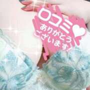 ヒメ日記 2026/03/17 20:12 投稿 アキラ(奥方) 奥様幕府