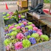 ヒメ日記 2026/09/22 09:20 投稿 アキラ(奥方) 奥様幕府