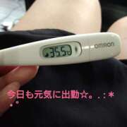 ヒメ日記 2025/01/08 14:37 投稿 カナコ(奥方) 奥様幕府