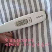 ヒメ日記 2025/01/11 15:17 投稿 カナコ(奥方) 奥様幕府