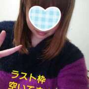 ヒメ日記 2025/01/15 01:27 投稿 カナコ(奥方) 奥様幕府