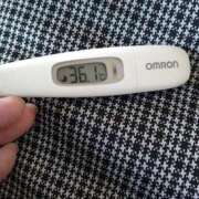 ヒメ日記 2025/01/16 14:37 投稿 カナコ(奥方) 奥様幕府