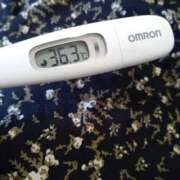 ヒメ日記 2025/01/19 13:37 投稿 カナコ(奥方) 奥様幕府