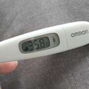 ヒメ日記 2025/02/18 14:17 投稿 カナコ(奥方) 奥様幕府