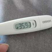 ヒメ日記 2025/02/19 14:17 投稿 カナコ(奥方) 奥様幕府