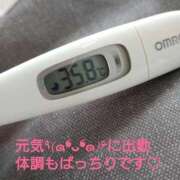 ヒメ日記 2025/02/22 13:20 投稿 カナコ(奥方) 奥様幕府