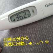 ヒメ日記 2025/02/23 11:57 投稿 カナコ(奥方) 奥様幕府