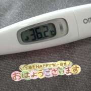 ヒメ日記 2025/02/24 12:37 投稿 カナコ(奥方) 奥様幕府