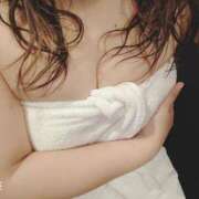 ヒメ日記 2025/02/24 14:17 投稿 カナコ(奥方) 奥様幕府