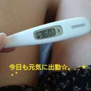 ヒメ日記 2025/02/25 13:27 投稿 カナコ(奥方) 奥様幕府