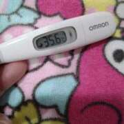 ヒメ日記 2025/02/26 12:57 投稿 カナコ(奥方) 奥様幕府