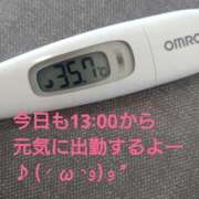 ヒメ日記 2025/02/27 12:49 投稿 カナコ(奥方) 奥様幕府