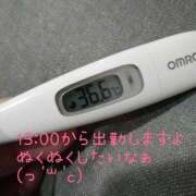 ヒメ日記 2025/03/03 11:37 投稿 カナコ(奥方) 奥様幕府