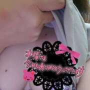 ヒメ日記 2025/03/04 00:47 投稿 カナコ(奥方) 奥様幕府