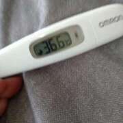 ヒメ日記 2025/03/04 12:37 投稿 カナコ(奥方) 奥様幕府