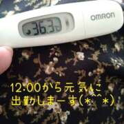 ヒメ日記 2025/03/05 11:27 投稿 カナコ(奥方) 奥様幕府